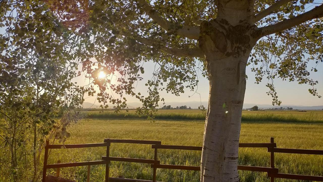 Апартаменты El Niu Дельтебре Экстерьер фото